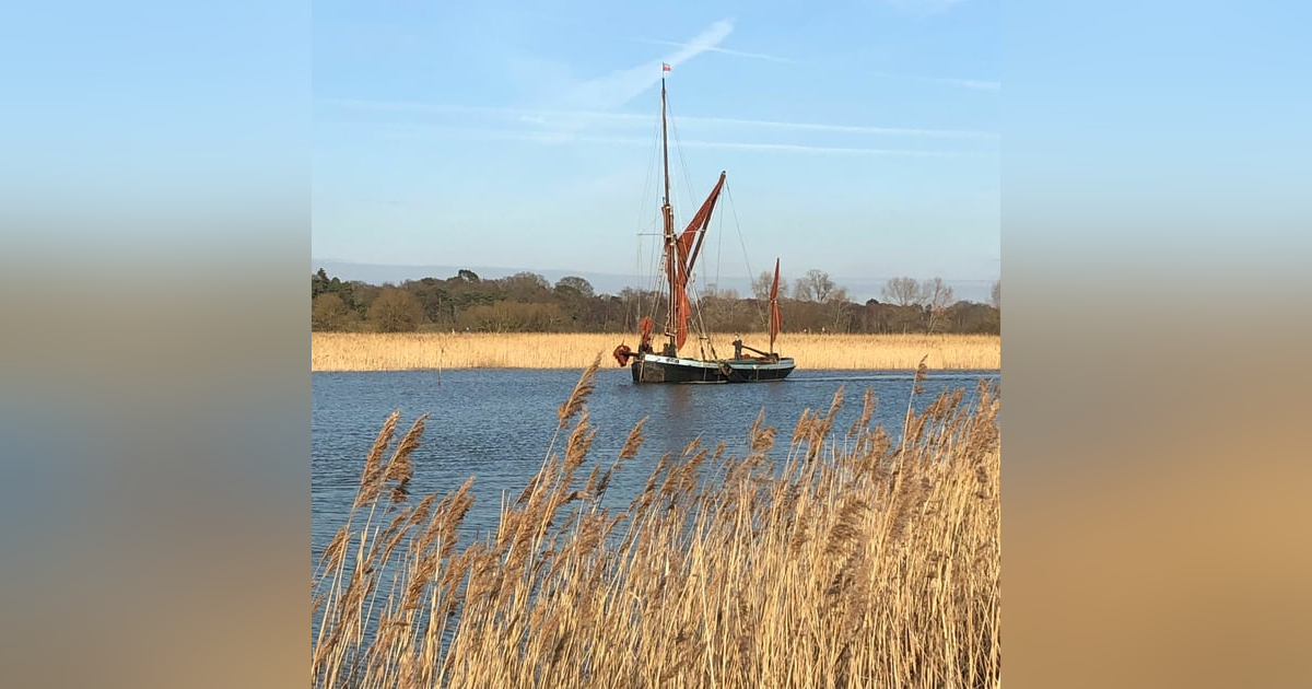 Geri bildirim dili nasıl olmalı? Geri bildirim dili nasıl olmalı?