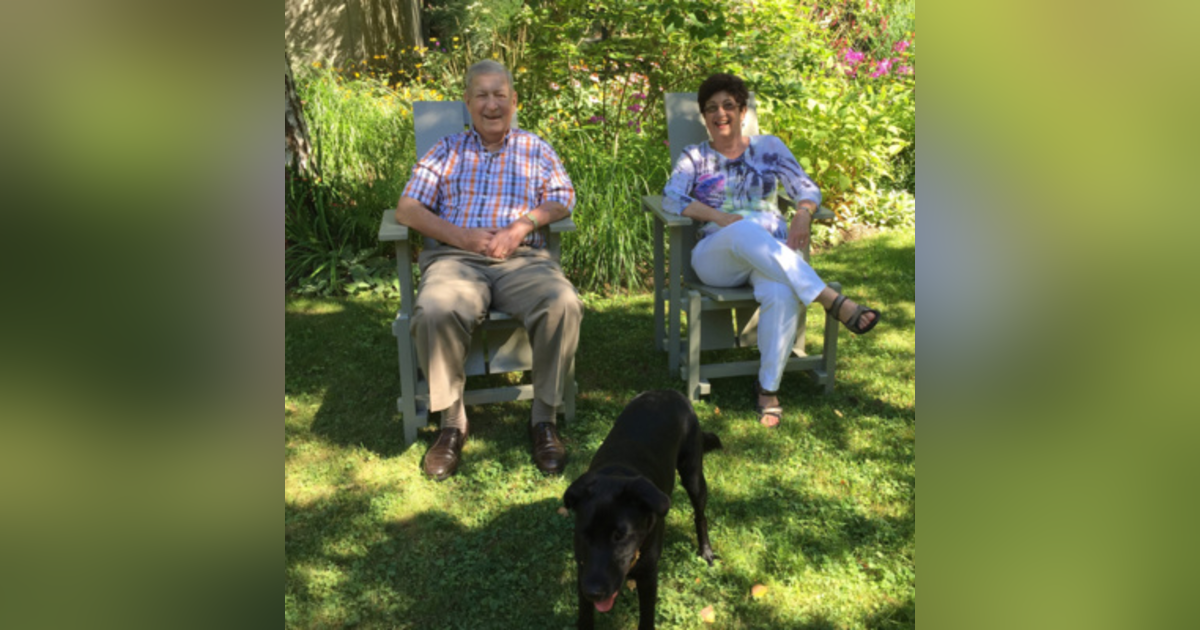 14. The Most Important Visitors 14. The Most Important Visitors