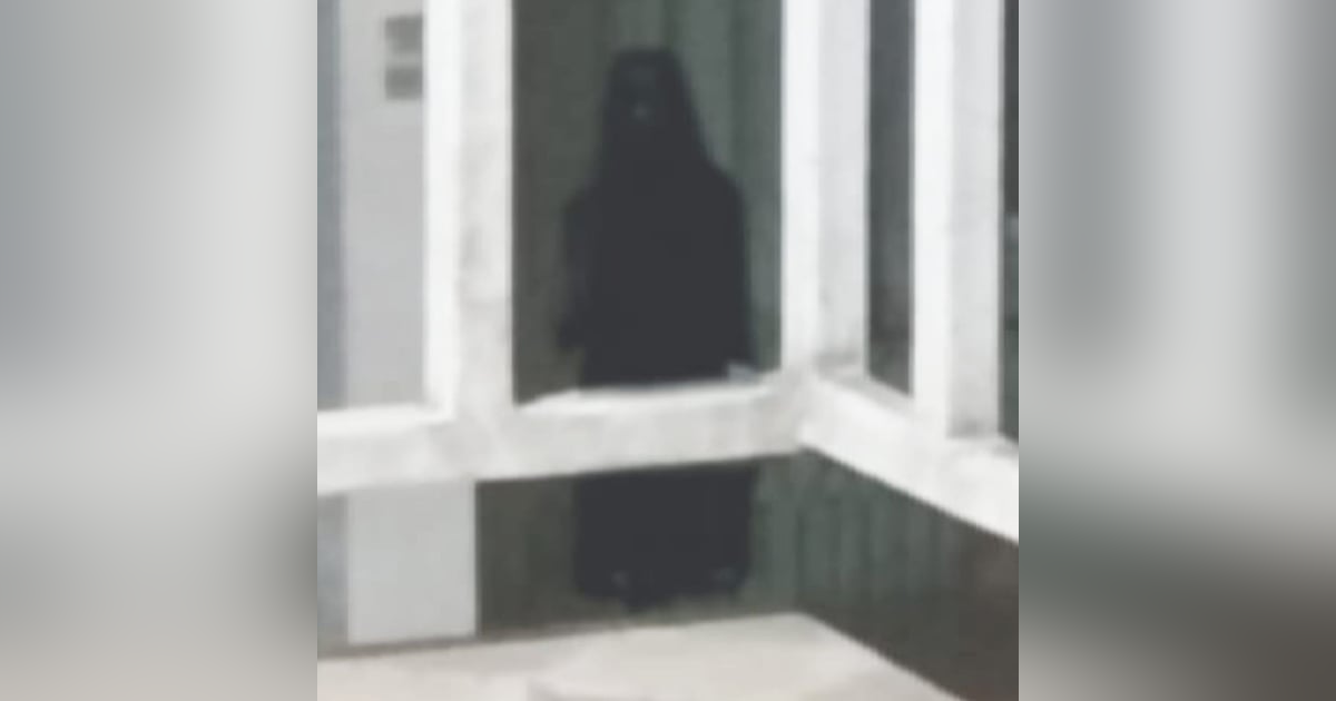 Historias de Miedo Agosto 30 de 2024 TENIA ALGO PEGADO Historias de Miedo Agosto 30 de 2024 TENIA ALGO PEGADO