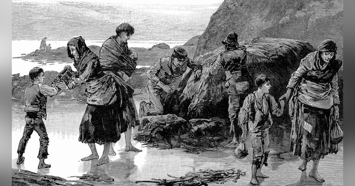The Irish Holocaust The Irish Holocaust