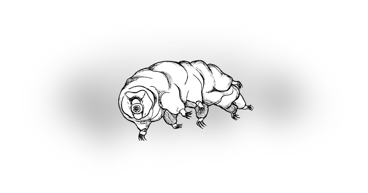 The Tardigrade The Tardigrade