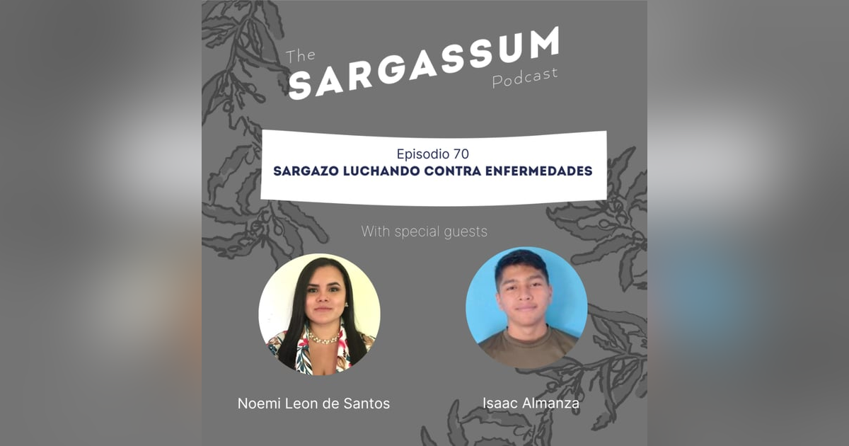 E70 Sargazo luchando contra enfermedades E70 Sargazo luchando contra enfermedades