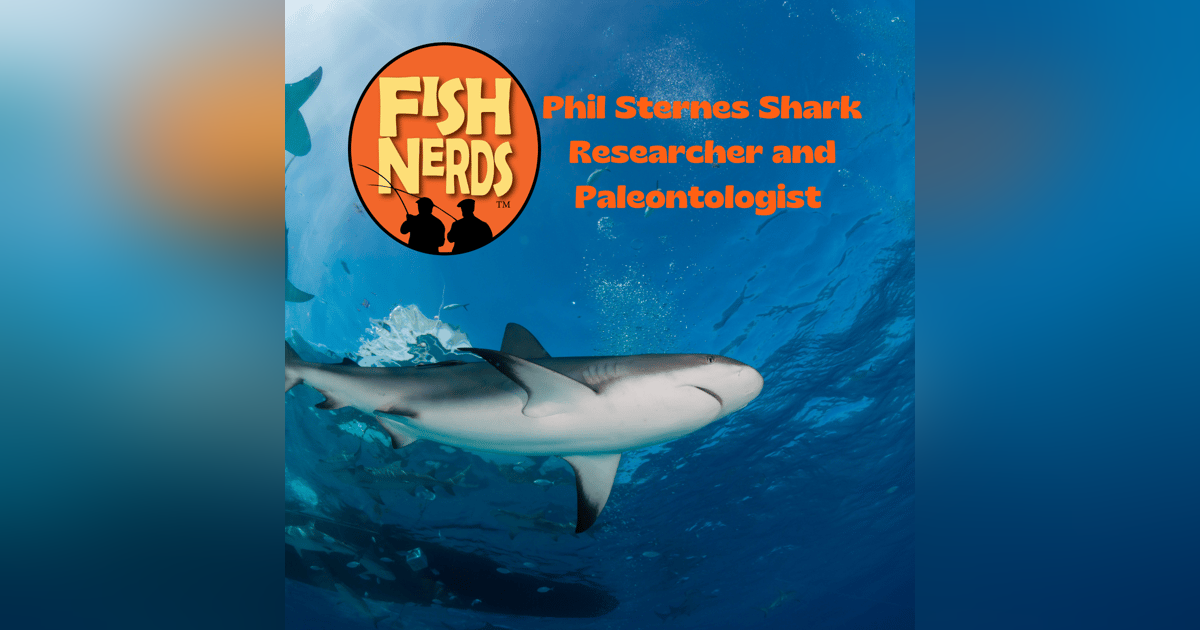 Phil Sternes Shark Paleontologist EP 304 Phil Sternes Shark Paleontologist EP 304