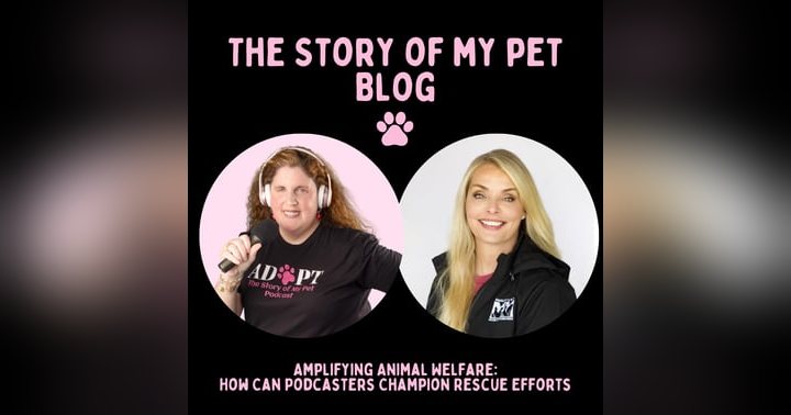 image for Amplifying Animal Welfare: How Can YOU Champion Rescue Efforts