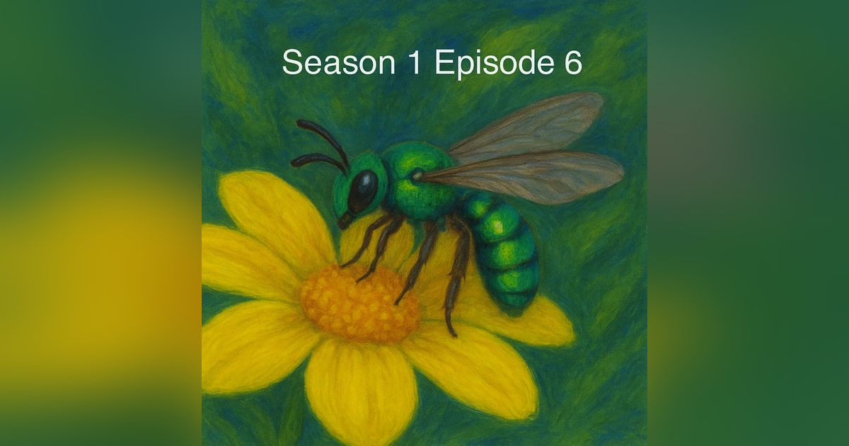 The Metallic Marvels - Sweat Bees The Metallic Marvels - Sweat Bees