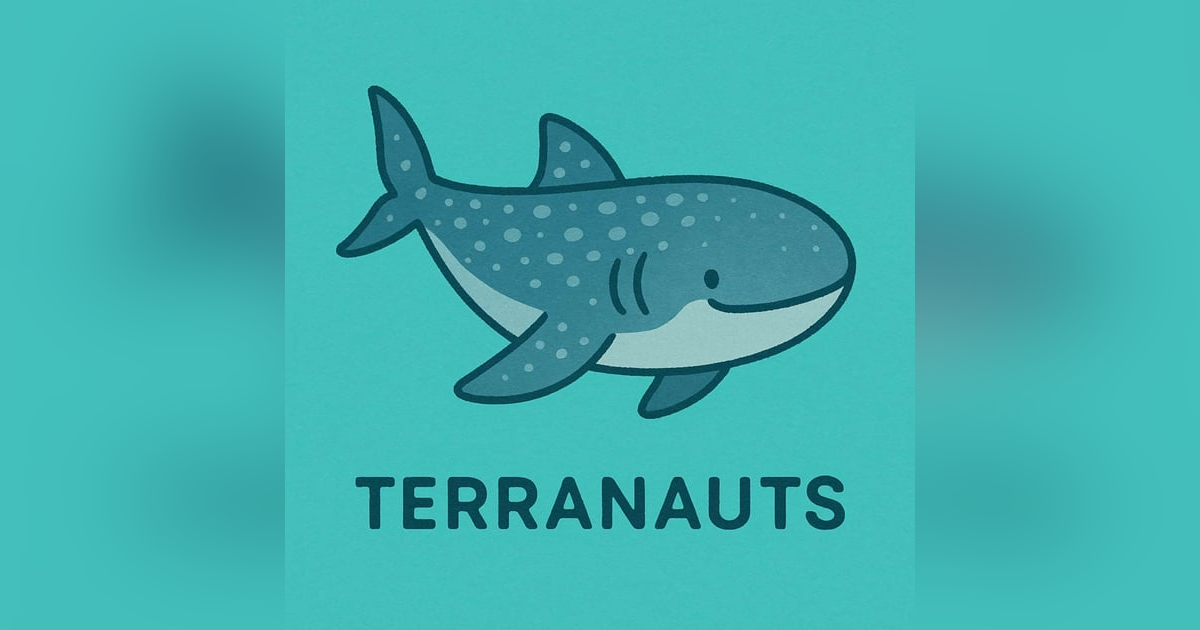 ¡Tiburón ballena! ¡Tiburón ballena!