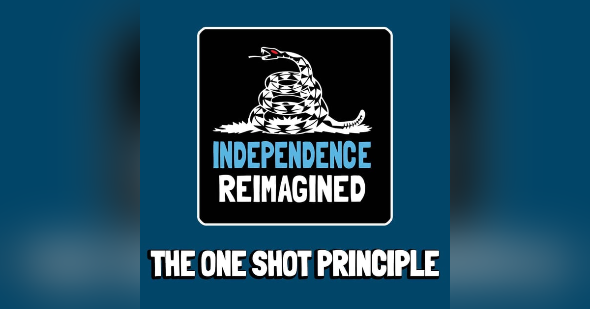 The One Shot Principle - Independence Reimagined Chapter 11 | Bitcoin Infinity Academy #26 The One Shot Principle - Independence Reimagined Chapter 11 | Bitcoin Infinity Academy #26