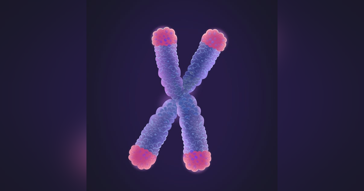 The Telomere Effect: A Diversity of Factors That Lead to Longevity and How They Relate to the Vitality of Telomere The Telomere Effect: A Diversity of Factors That Lead to Longevity and How They Relate to the Vitality of Telomere