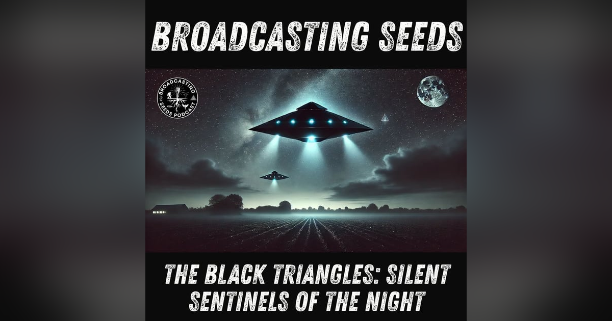 The Black Triangles: Silent Sentinels of the Night The Black Triangles: Silent Sentinels of the Night