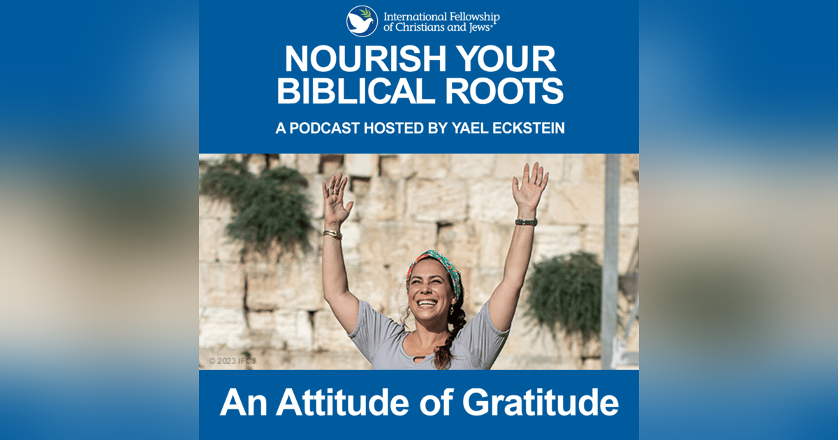 An Attitude of Gratitude An Attitude of Gratitude