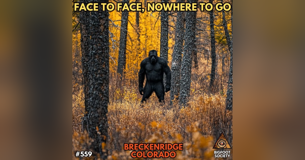 A Terrifying Encounter in the Colorado Woods. A Terrifying Encounter in the Colorado Woods.