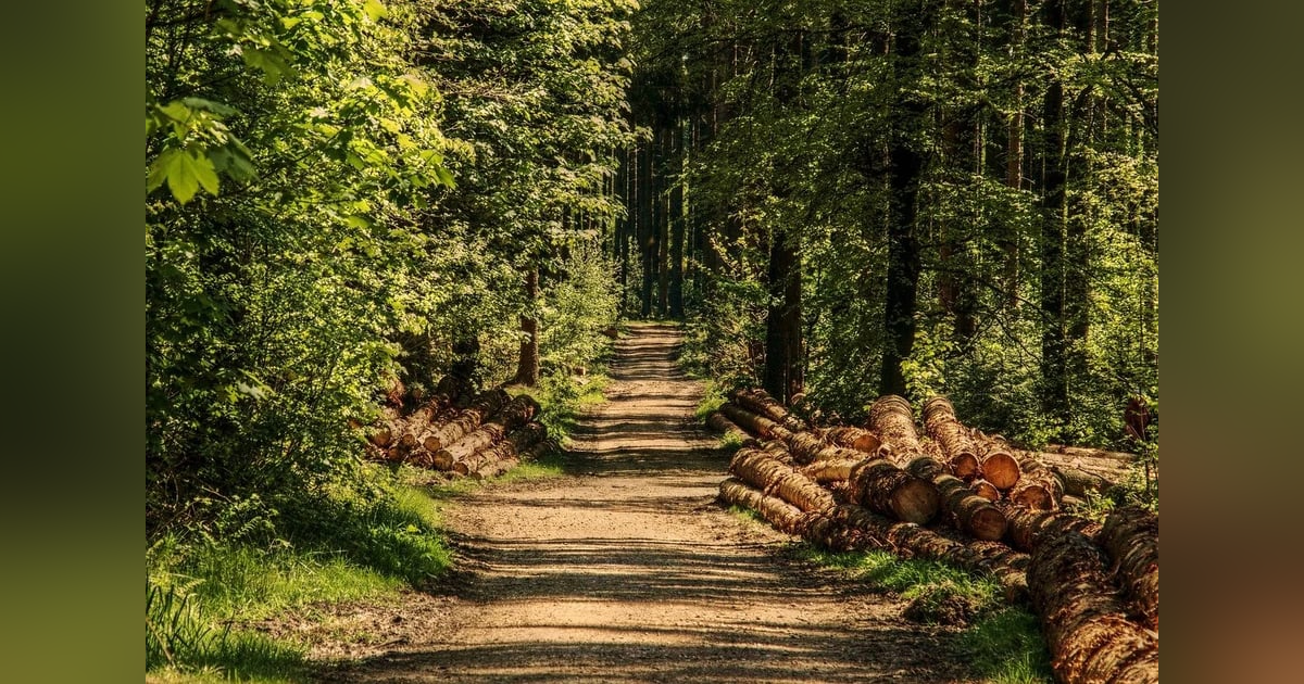 Ep 61: A Good Journey (w/ Alan Bush) Ep 61: A Good Journey (w/ Alan Bush)