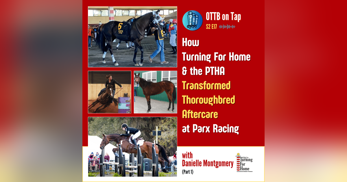 S2 E17: How Turning For Home & the PTHA Transformed Thoroughbred Aftercare at Parx Racing S2 E17: How Turning For Home & the PTHA Transformed Thoroughbred Aftercare at Parx Racing