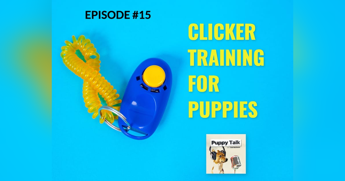 Clicker Training for Puppies Clicker Training for Puppies