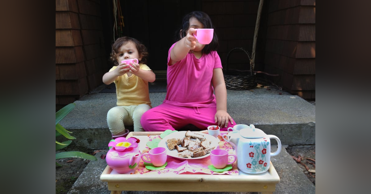 The Party Pooper and the Expert The Party Pooper and the Expert