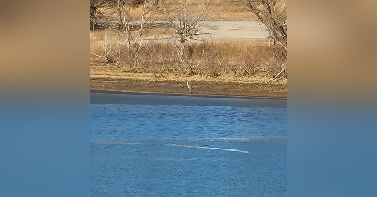 S3 E7: 100 Seconds to Midnight: Drip, Drip, Drip S3 E7: 100 Seconds to Midnight: Drip, Drip, Drip