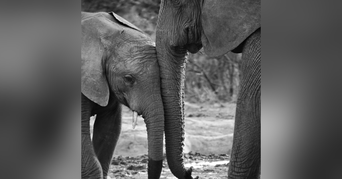 Manage Like Your Life Depended On It Manage Like Your Life Depended On It