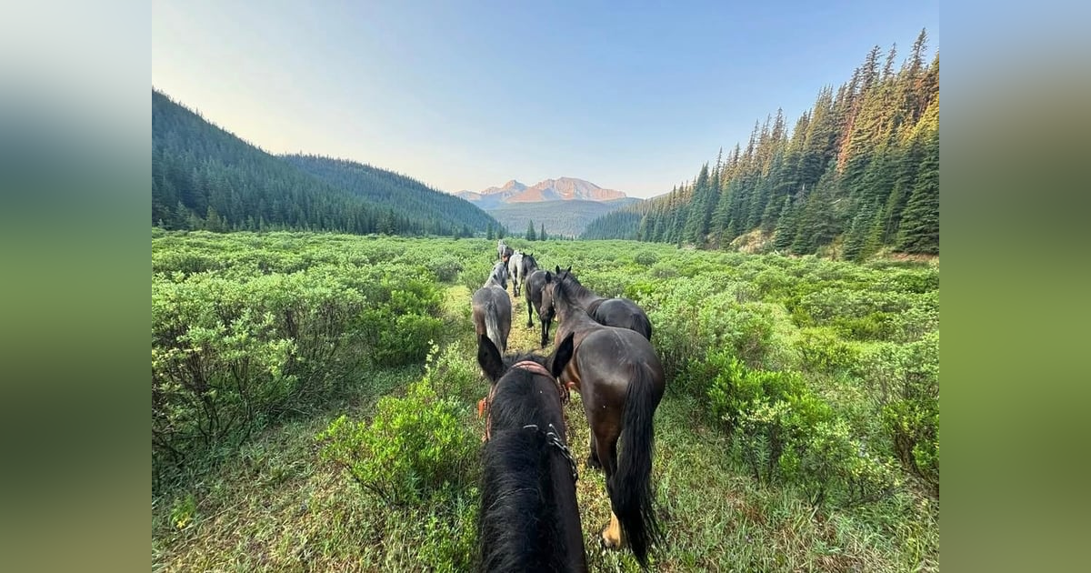 Ep 47- The Last Mountain Man (Feat. Monty Groat and Scott Sunderwald) Ep 47- The Last Mountain Man (Feat. Monty Groat and Scott Sunderwald)