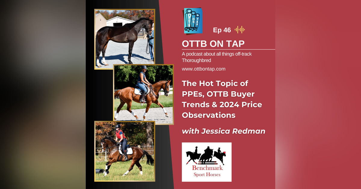 Ep 46: Jessica Redman on the Hot Topic of PPEs, OTTB Buyer Trends & 2024 Price Observations Ep 46: Jessica Redman on the Hot Topic of PPEs, OTTB Buyer Trends & 2024 Price Observations