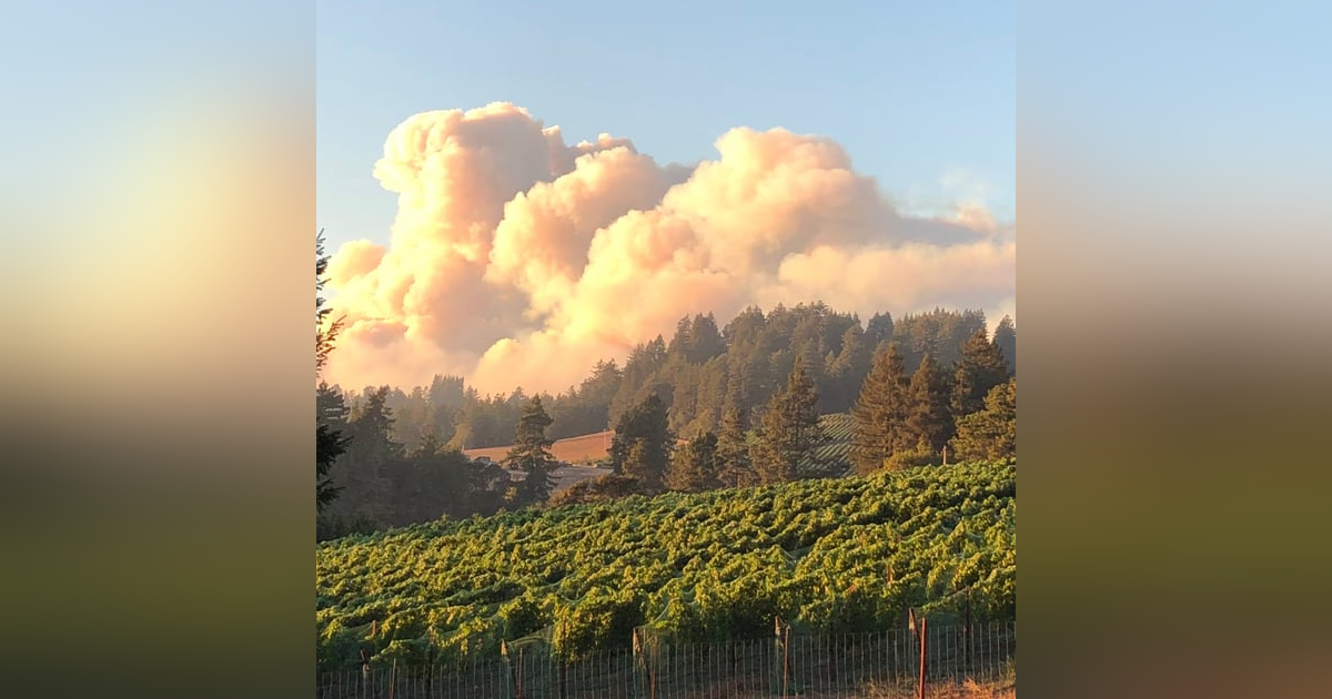 Wine Country Wildfires: the ungovernable State of California Wine Country Wildfires: the ungovernable State of California