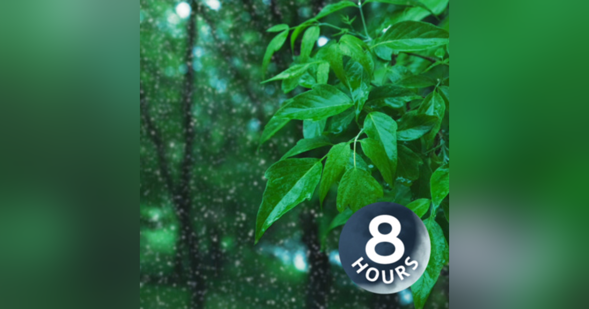 Sleep to Rainstorm in a Park | 8 Hour Rain White Noise Sleep to Rainstorm in a Park | 8 Hour Rain White Noise