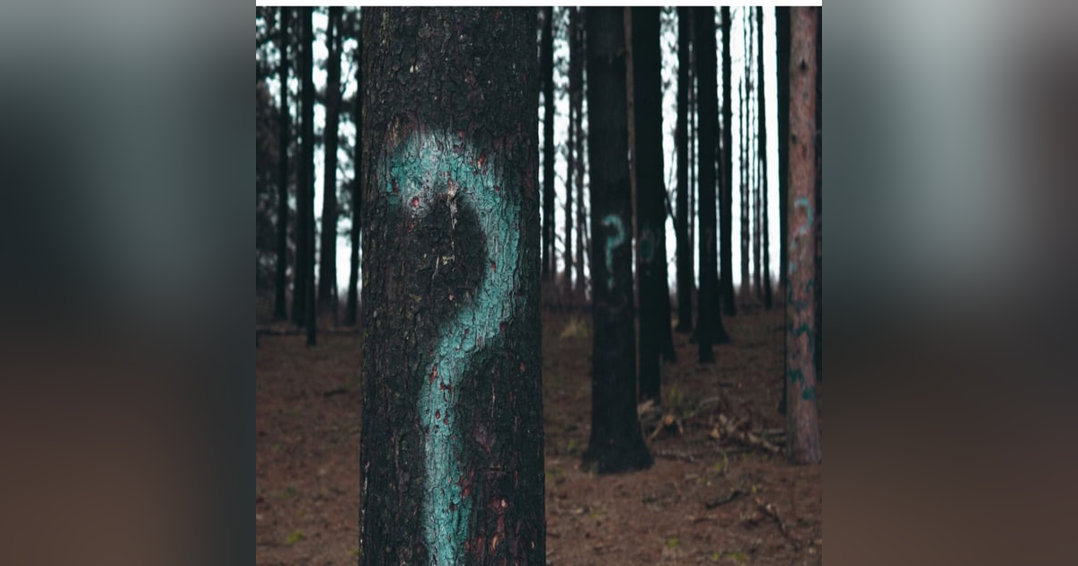 #231 It starts with Why #231 It starts with Why