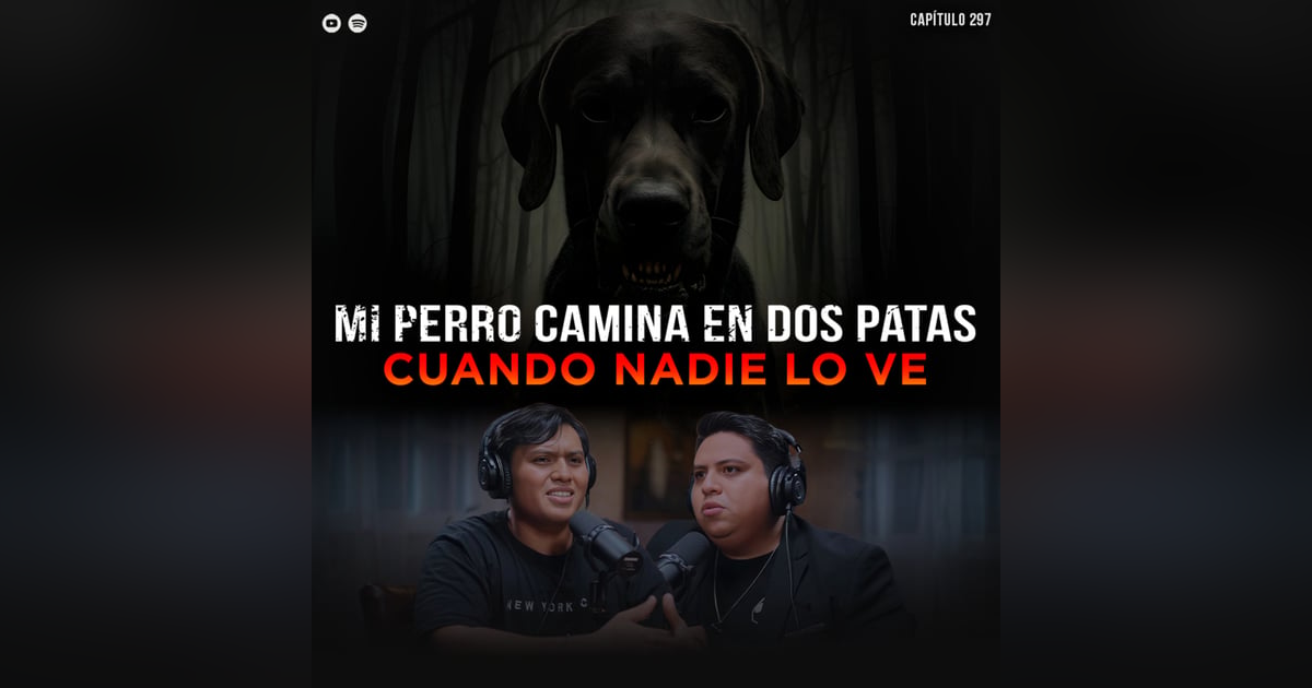 Historias Perturbadoras de Animales Extraños: Mi Perro Camina en 2 Patas cuando Nadie lo ve Historias Perturbadoras de Animales Extraños: Mi Perro Camina en 2 Patas cuando Nadie lo ve