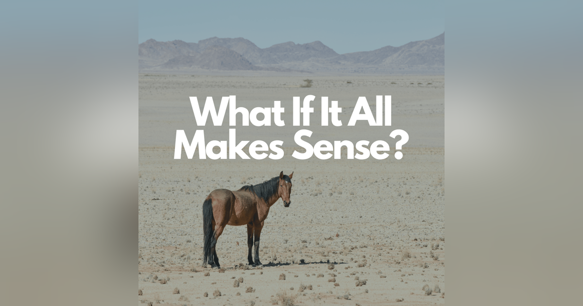What If It All Makes Sense? | Episode 29 What If It All Makes Sense? | Episode 29
