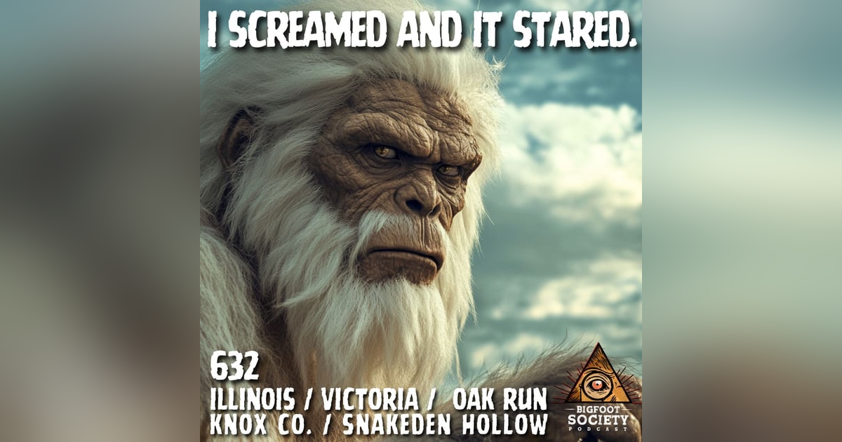 I Screamed and It Stared! | Illinois I Screamed and It Stared! | Illinois