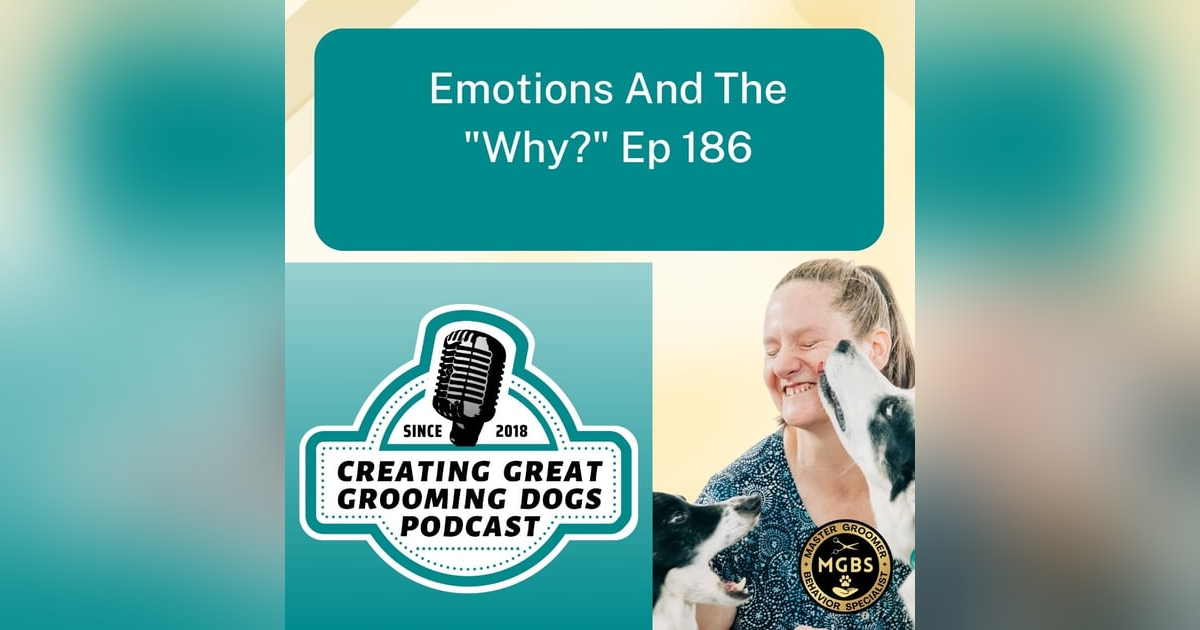 Emotions And The "Why?" Ep 186 Emotions And The "Why?" Ep 186
