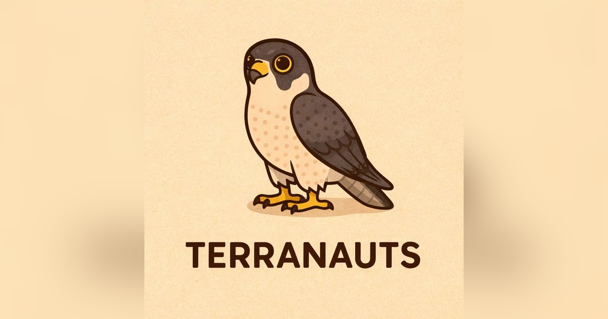 ¡Halcón peregrino! ¡Halcón peregrino!