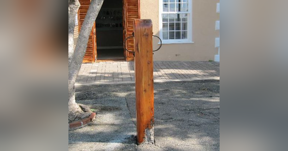 Whipping Post part 1 Whipping Post part 1