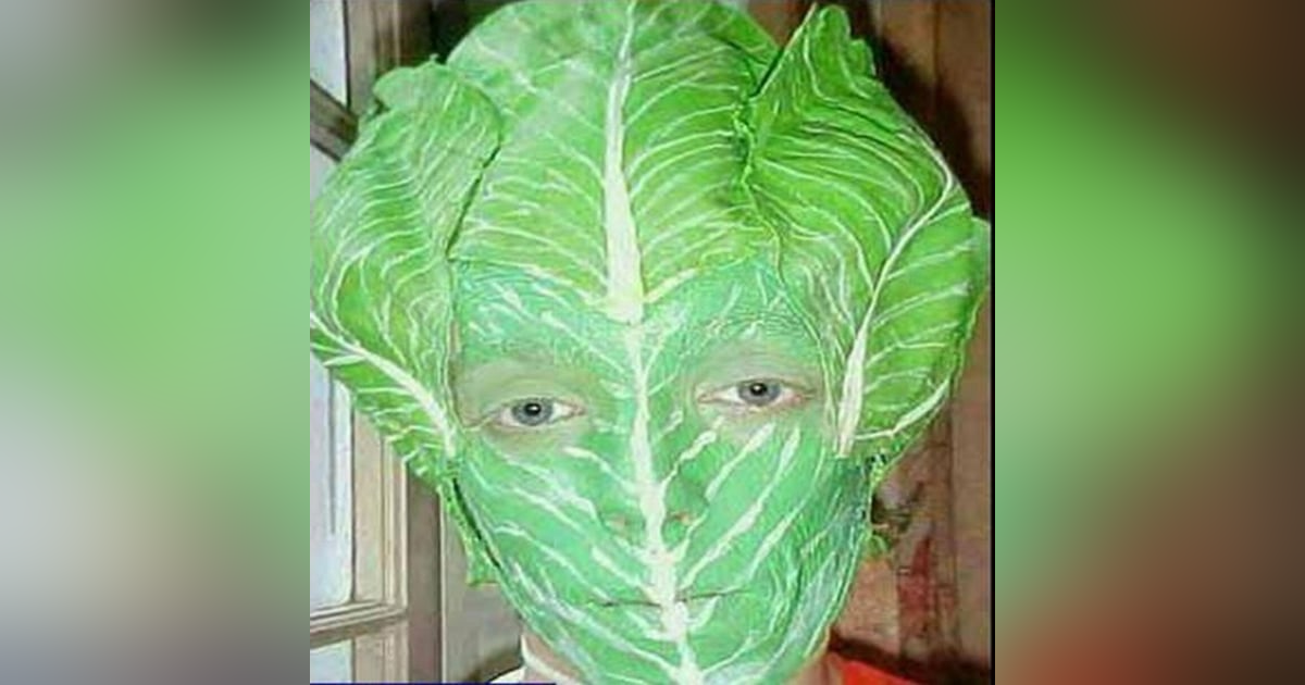 Pod 258 : Lettuce Heads Pod 258 : Lettuce Heads