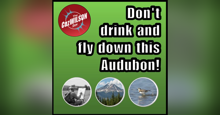 image for Don't fly down this Audubon