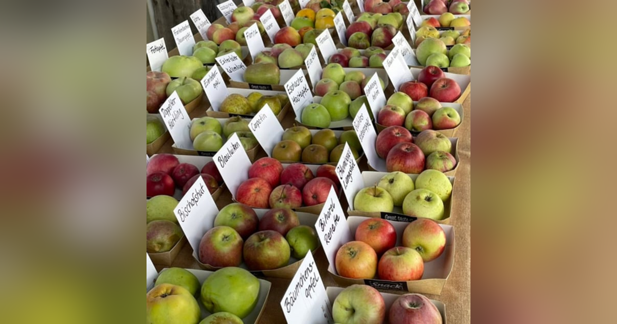 As American As Apple Cider - with Jake Watt As American As Apple Cider - with Jake Watt