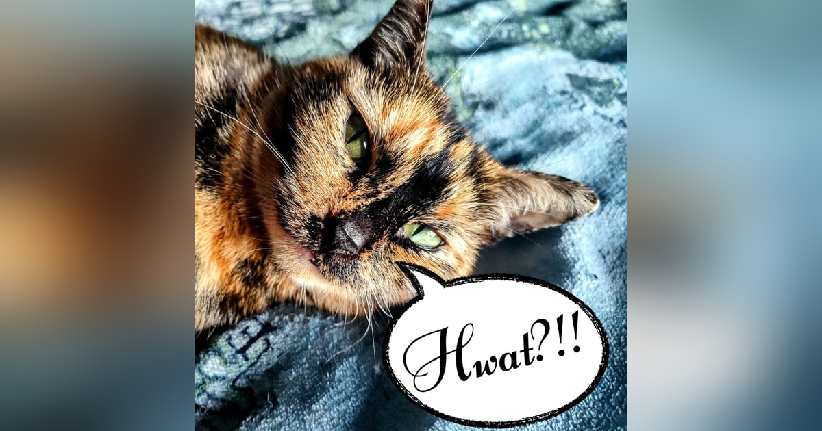 60: Tree Big. Squirrel Frozen. 60: Tree Big. Squirrel Frozen.