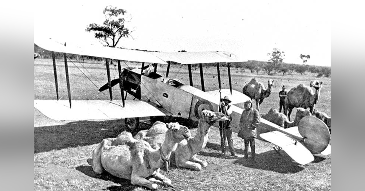 ‘I made all the rules, and I followed every one of them’. Some ’naughty bits’ on Australian airline pioneer Sir Norman Brearley. ‘I made all the rules, and I followed every one of them’. Some ’naughty bits’ on Australian airline pioneer Sir Norman Brearley.