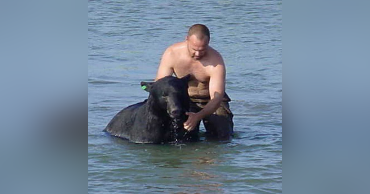 1269. Our Hero Saved A Drowning Bear - 5 Must Know Things About Your Dog 1269. Our Hero Saved A Drowning Bear - 5 Must Know Things About Your Dog