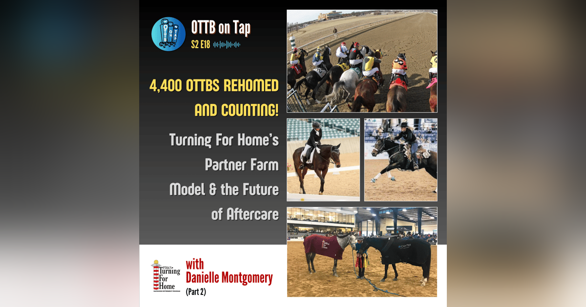 S2 E18: 4,400 OTTBs Rehomed and Counting! Turning For Home’s Partner Farm Model & the Future of Aftercare S2 E18: 4,400 OTTBs Rehomed and Counting! Turning For Home’s Partner Farm Model & the Future of Aftercare