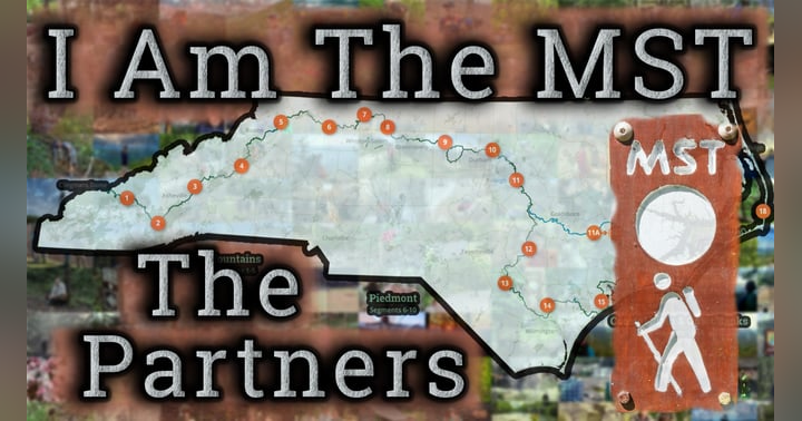 image for I Am The MST - The Partners