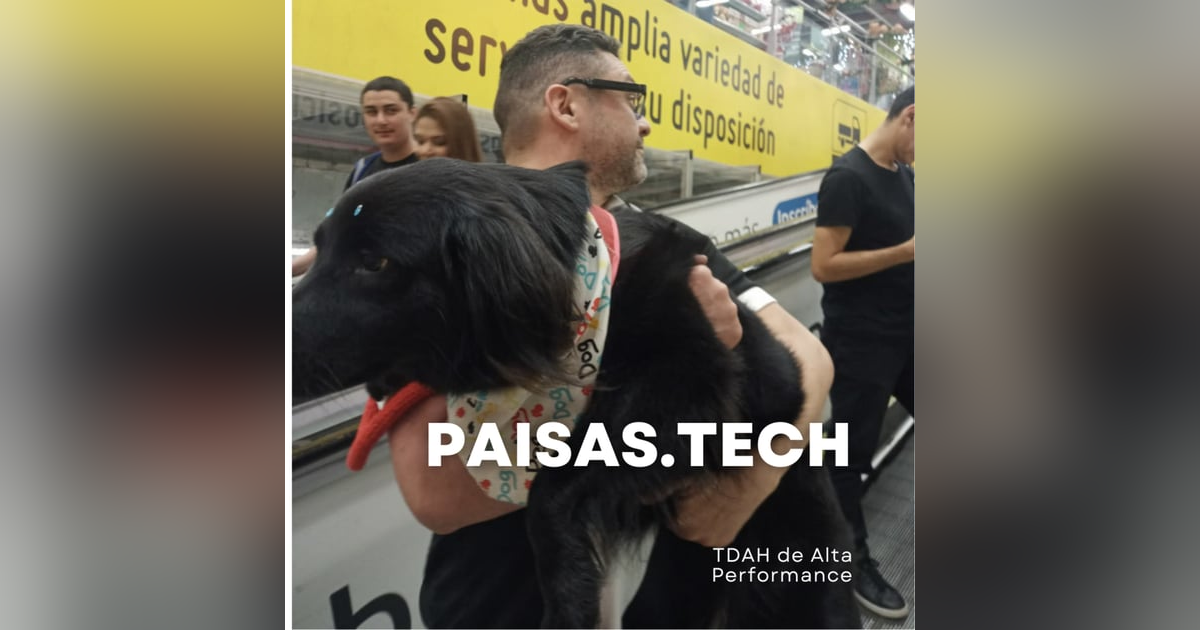 TDAH de Alta Performance TDAH de Alta Performance