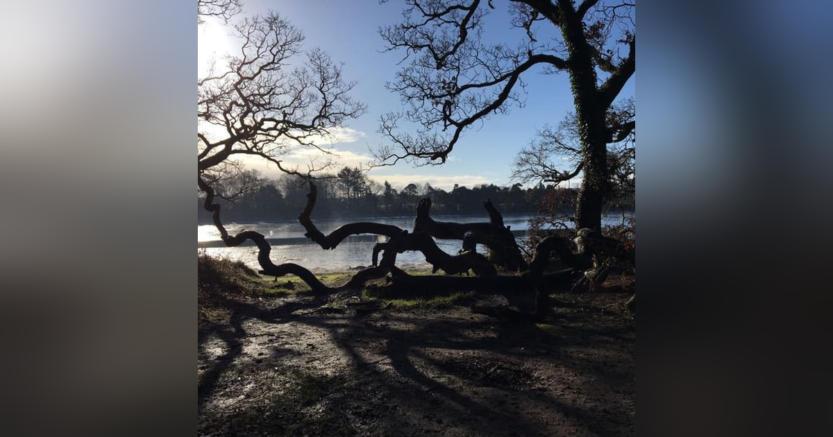 S2018 Ep9: Irish Talkers on "The Talk Show for Talkers" - Toastmasters International S2018 Ep9: Irish Talkers on "The Talk Show for Talkers" - Toastmasters International