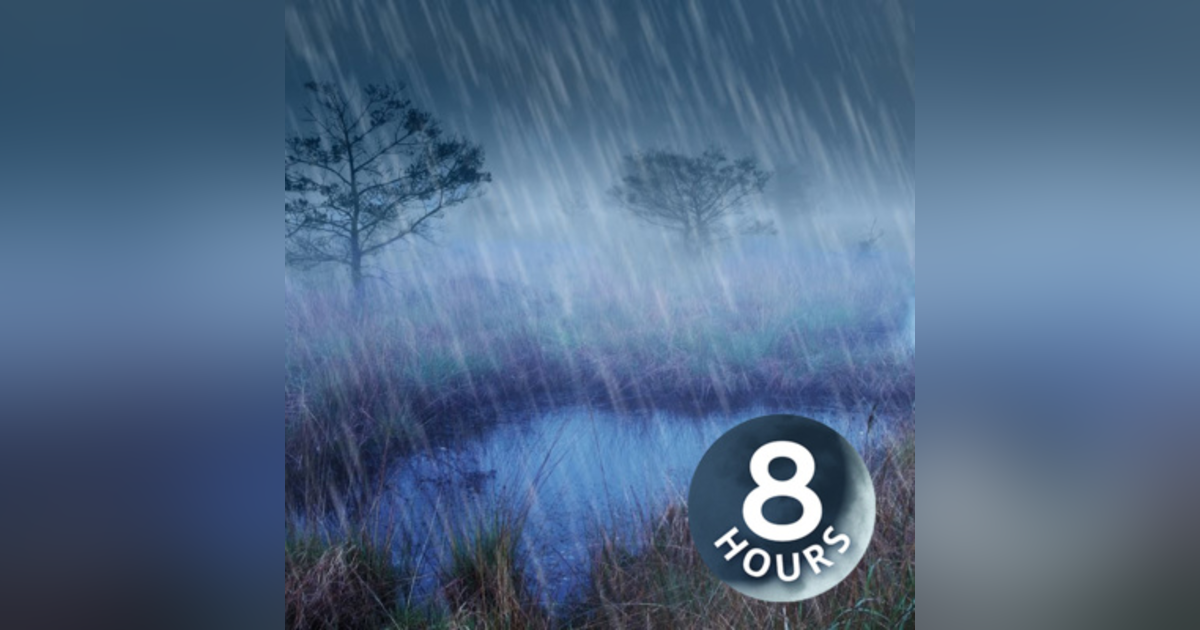Rain + River Night Ambience 8 Hours | Nature White Noise for Studying, Sleeping or Stress Relief Rain + River Night Ambience 8 Hours | Nature White Noise for Studying, Sleeping or Stress Relief