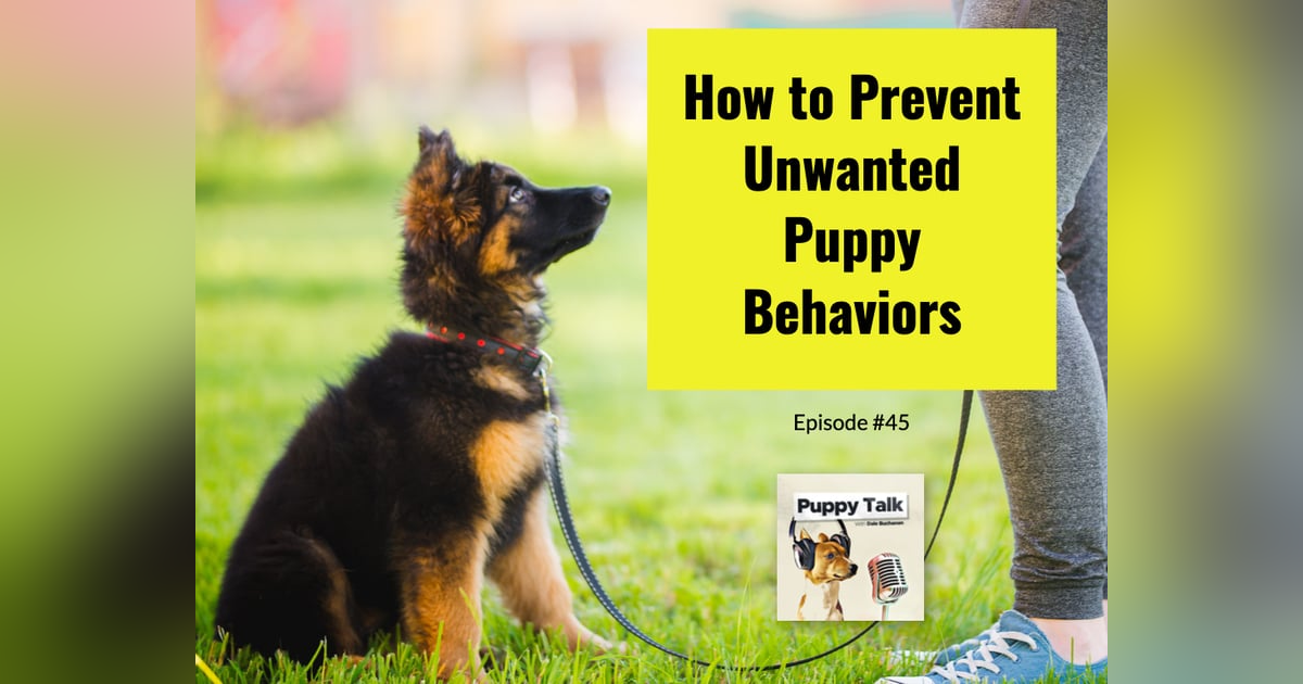 How to Prevent Unwanted Puppy Behaviors How to Prevent Unwanted Puppy Behaviors