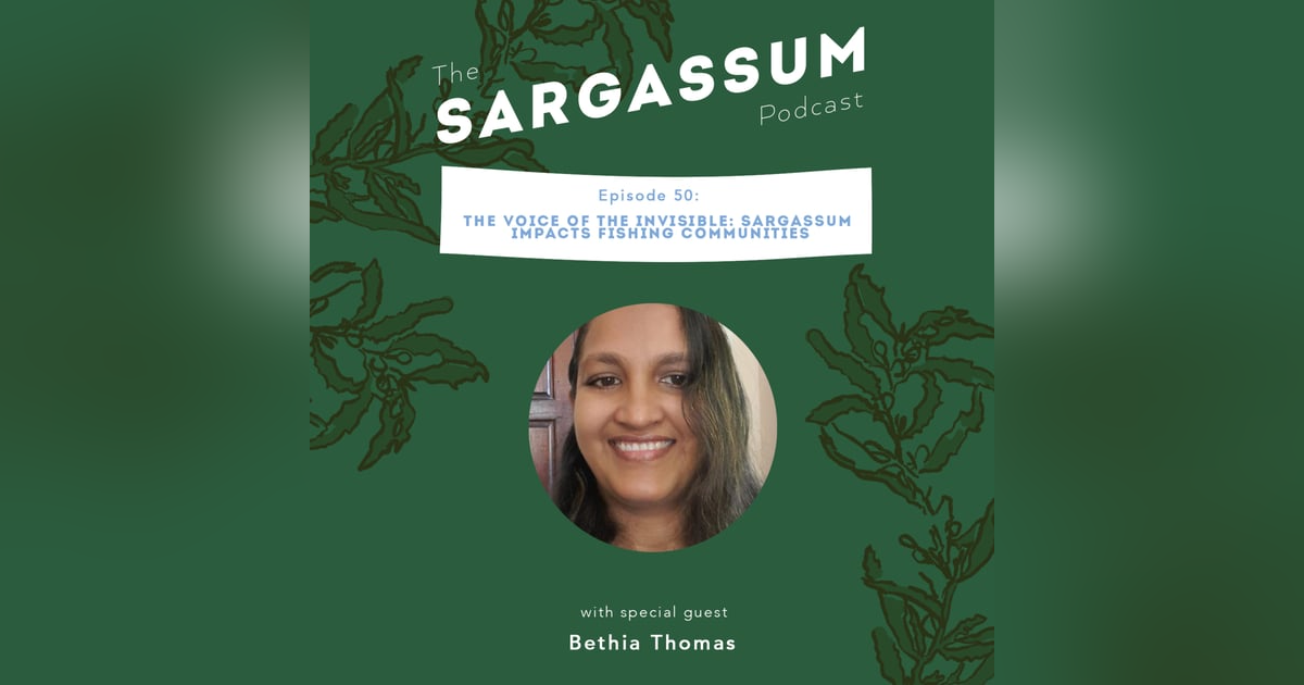 E50 The voices of the invisible - Sargassum impacts fishing communities with Bethia Thomas E50 The voices of the invisible - Sargassum impacts fishing communities with Bethia Thomas