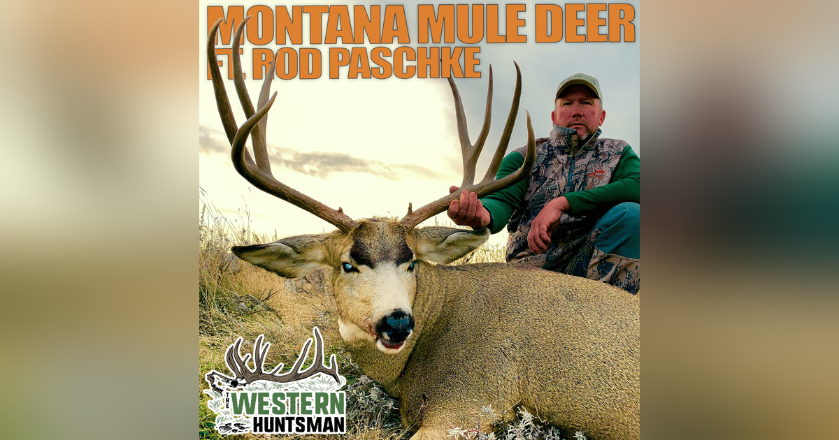 230. Montana Mule Deer with Rod Paschke 230. Montana Mule Deer with Rod Paschke