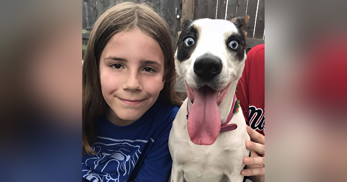 "Please Don't Repo Fido." Lawmakers Ban Pet Leasing - A Boy's Mission To Pet A Million Dogs "Please Don't Repo Fido." Lawmakers Ban Pet Leasing - A Boy's Mission To Pet A Million Dogs