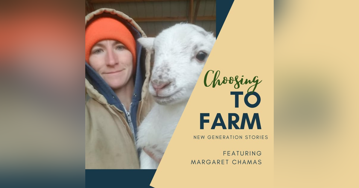 Ep. 1.16 Margaret Chamas Part 2 and Listener Comments Ep. 1.16 Margaret Chamas Part 2 and Listener Comments