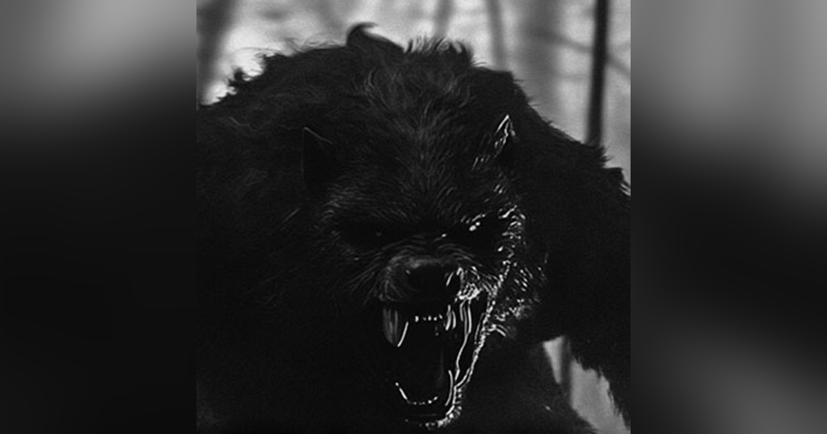 MILITARES Cazados Uno A Uno En La Selva Historias De Terror - REDE MILITARES Cazados Uno A Uno En La Selva Historias De Terror - REDE