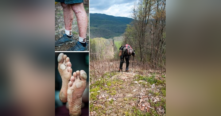image for The Barkley Marathon